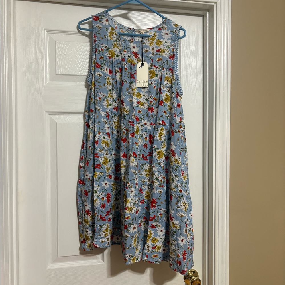 Floral Sleeveless Dress - Blue and Red